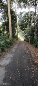 Permukaan jalan sebelum kerja turapan